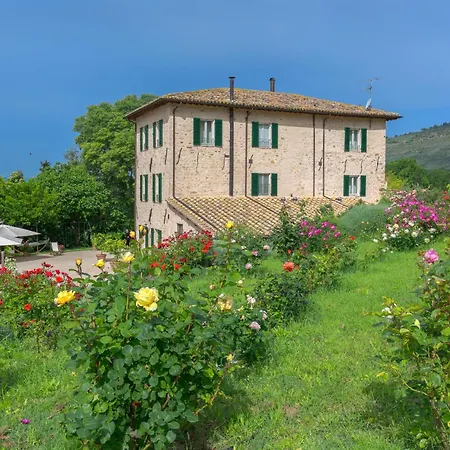 Cuore Olmo Appartement