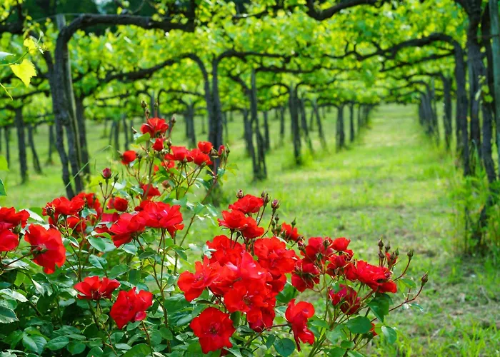 Appartement Cuore Olmo Spello